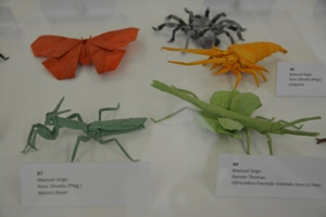 Origami 300 bugs